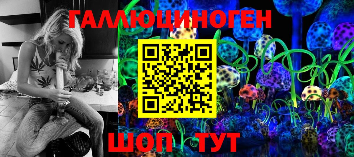 Галлюциногенные грибы Psilocybine cubensis Ялта